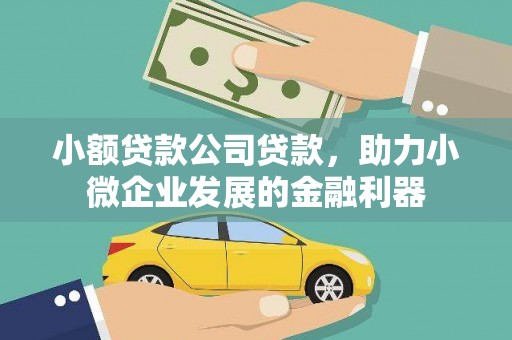 临漳小额贷款公司贷款，助力小微企业发展的金融利器