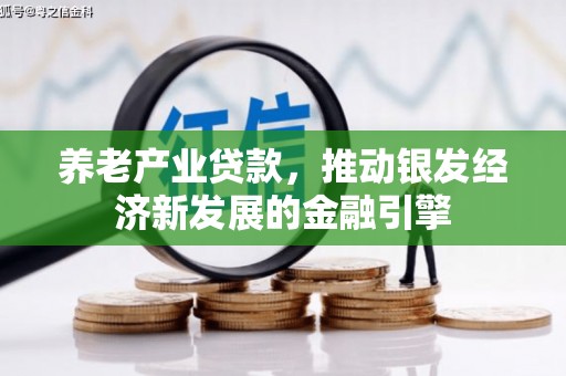 临漳养老产业贷款，推动银发经济新发展的金融引擎