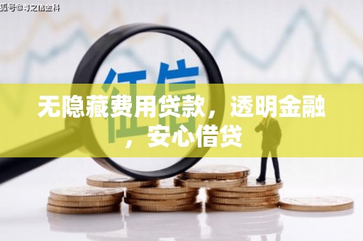 临漳无隐藏费用贷款，透明金融，安心借贷