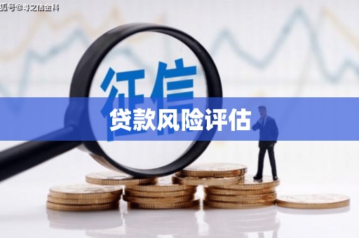 临漳贷款风险评估