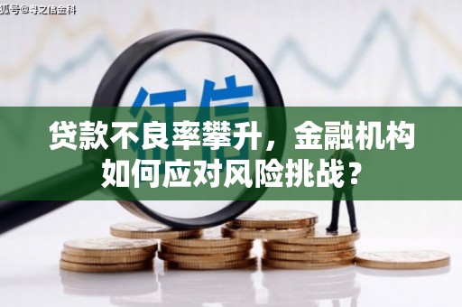 临漳贷款不良率攀升，金融机构如何应对风险挑战？