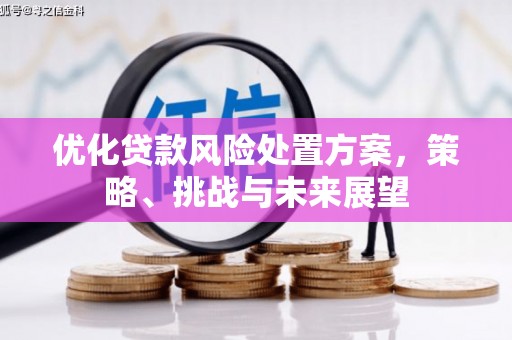临漳优化贷款风险处置方案，策略、挑战与未来展望
