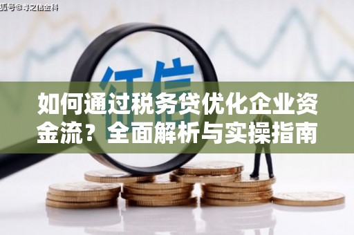 临漳如何通过税务贷优化企业资金流？全面解析与实操指南
