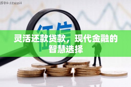 临漳灵活还款贷款，现代金融的智慧选择