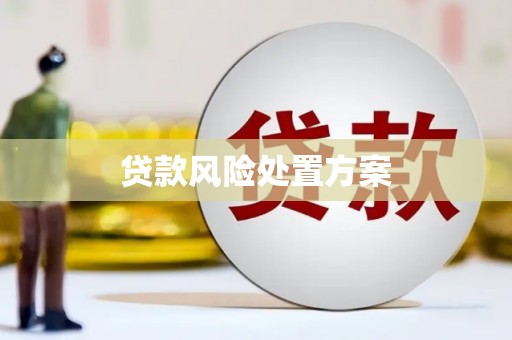 临漳贷款风险处置方案