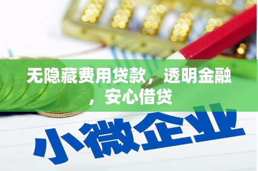 临漳无隐藏费用贷款，透明金融，安心借贷