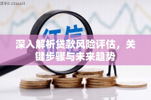 临漳深入解析贷款风险评估，关键步骤与未来趋势