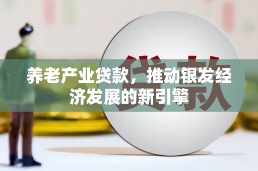 临漳养老产业贷款，推动银发经济发展的新引擎