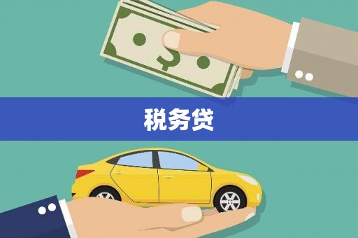 临漳税务贷
