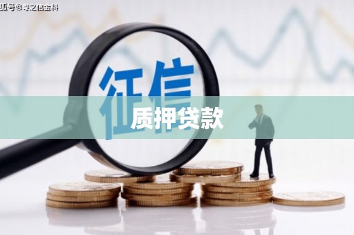 临漳质押贷款