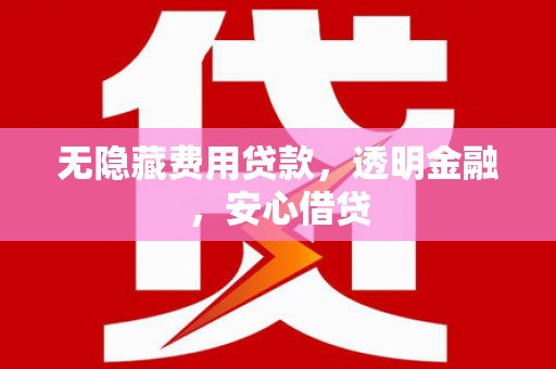 临漳无隐藏费用贷款，透明金融，安心借贷