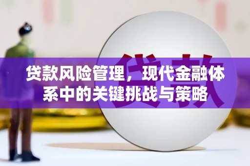 临漳贷款风险管理，现代金融体系中的关键挑战与策略