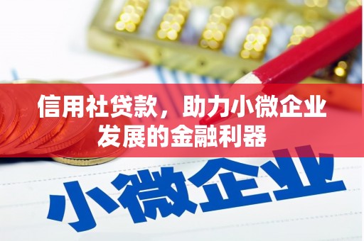 临漳信用社贷款，助力小微企业发展的金融利器
