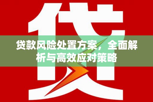 临漳贷款风险处置方案，全面解析与高效应对策略
