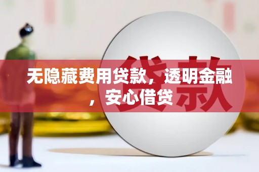 临漳无隐藏费用贷款，透明金融，安心借贷