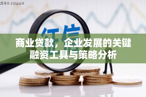 临漳商业贷款，企业发展的关键融资工具与策略分析
