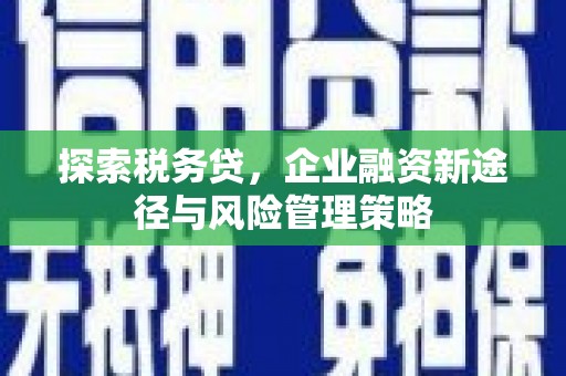 临漳探索税务贷，企业融资新途径与风险管理策略