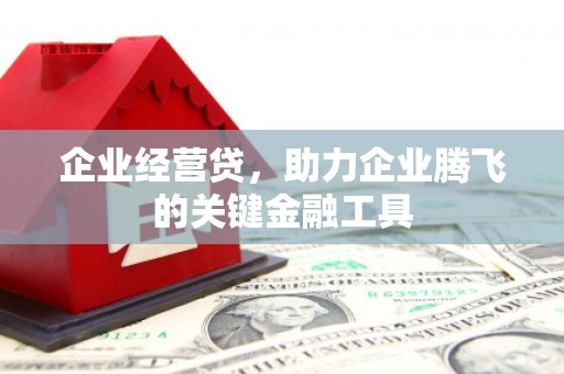 临漳企业经营贷，助力企业腾飞的关键金融工具
