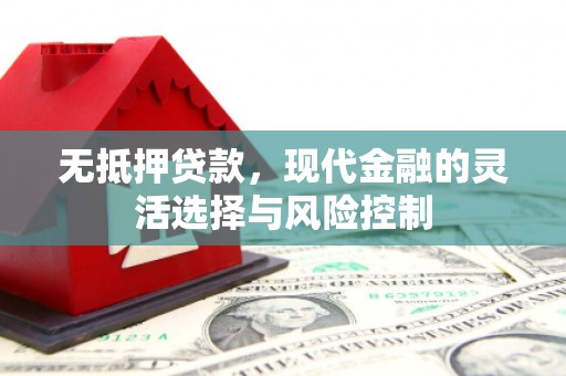 临漳无抵押贷款，现代金融的灵活选择与风险控制