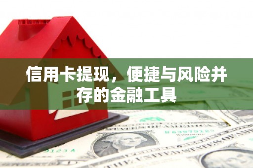 临漳信用卡提现，便捷与风险并存的金融工具