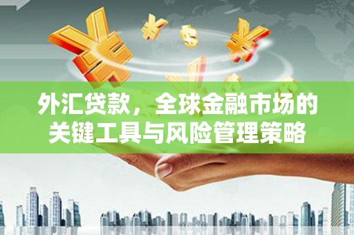 临漳外汇贷款，全球金融市场的关键工具与风险管理策略