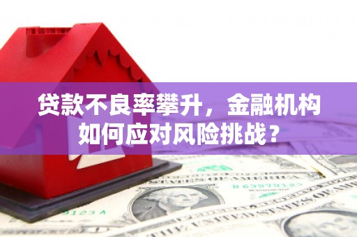 临漳贷款不良率攀升，金融机构如何应对风险挑战？