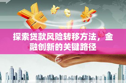 临漳探索贷款风险转移方法，金融创新的关键路径