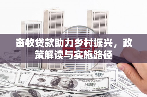 临漳畜牧贷款助力乡村振兴，政策解读与实施路径