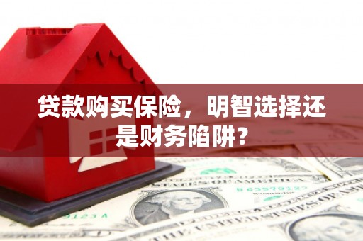 临漳贷款购买保险，明智选择还是财务陷阱？