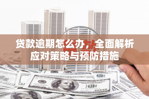临漳贷款逾期怎么办，全面解析应对策略与预防措施