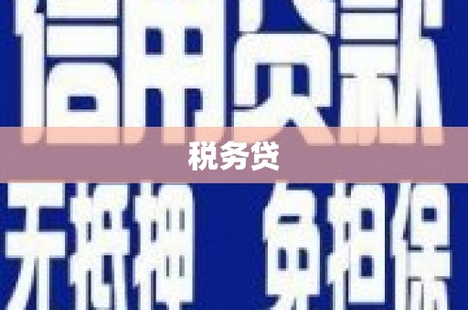 临漳税务贷