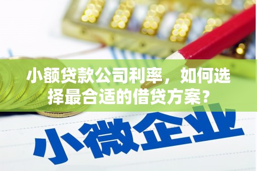 临漳小额贷款公司利率，如何选择最合适的借贷方案？