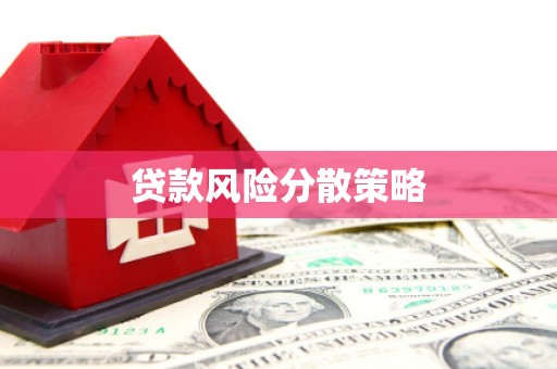 临漳贷款风险分散策略