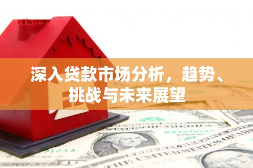 临漳深入贷款市场分析，趋势、挑战与未来展望