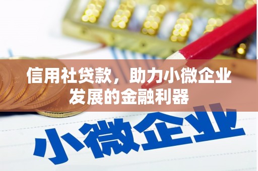 临漳信用社贷款，助力小微企业发展的金融利器