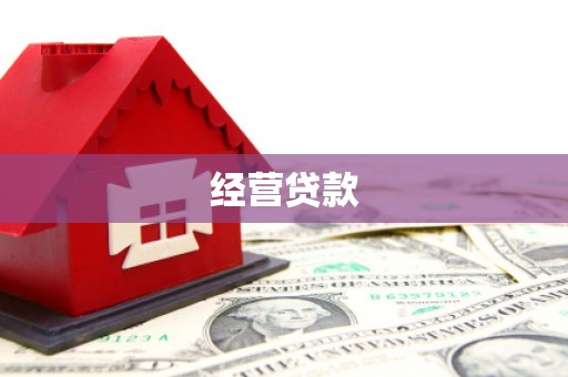 临漳经营贷款