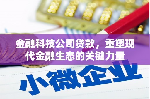 临漳金融科技公司贷款，重塑现代金融生态的关键力量