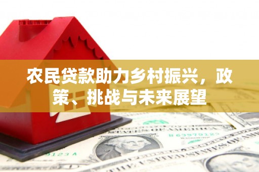 临漳农民贷款助力乡村振兴，政策、挑战与未来展望