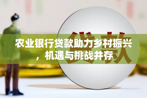 临漳农业银行贷款助力乡村振兴，机遇与挑战并存
