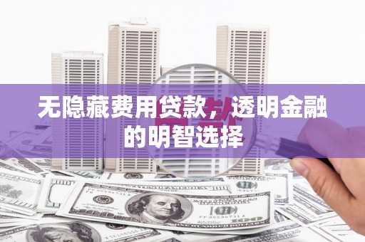 临漳无隐藏费用贷款，透明金融的明智选择
