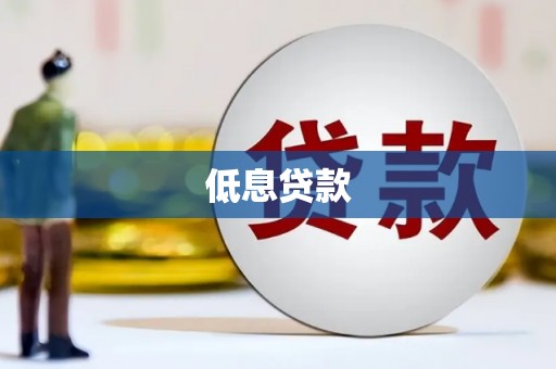 临漳低息贷款