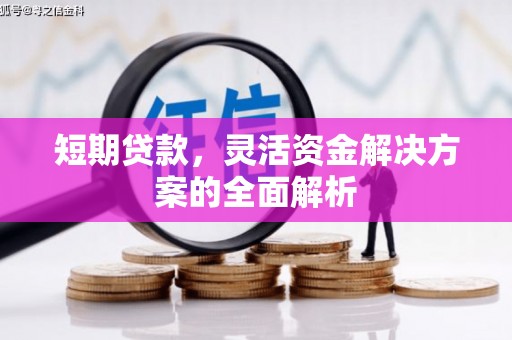 临漳短期贷款，灵活资金解决方案的全面解析