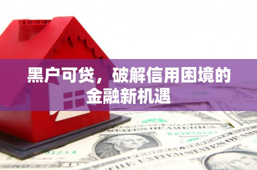 临漳黑户可贷，破解信用困境的金融新机遇