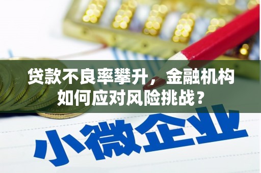 临漳贷款不良率攀升，金融机构如何应对风险挑战？
